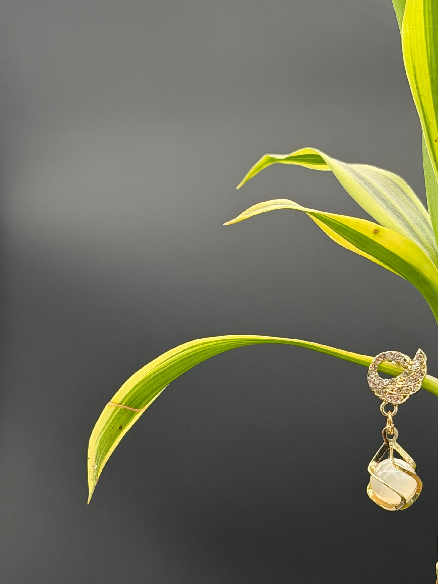 Luna Pearl Drop Earrings